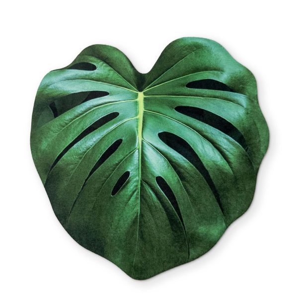 A MONSTERA LEAF YOU CAN CLEAN YOUR GLASSES WITH For Sale - Image 2